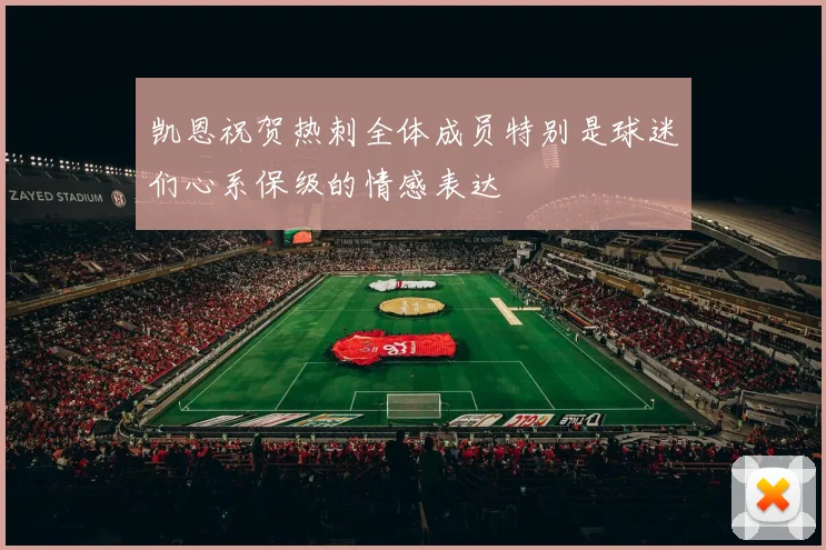 凯恩祝贺热刺全体成员特别是球迷们心系保级的情感表达